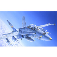 ITALERI F/A-18C/D WILD WEASEL 1:72