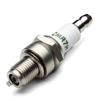 Spark Plug (Chinese) 67016