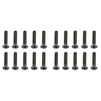 M3 x 16mm FHHS set