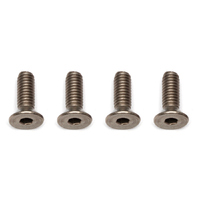 FT Ti Screws, 4x12 mm FHCS