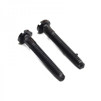 Phoenix Model Plastic Wing Bolts (2pcs) M6 X 45mm Slotted Head